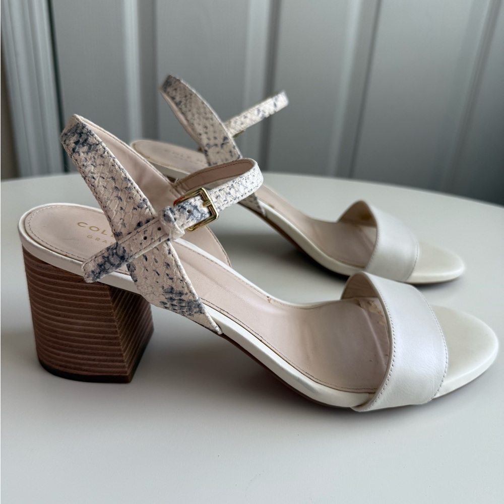 Cole Haan Snakeskin Detail Heels – Sleek & Sophisticated | Size 8